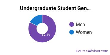 Undergraduate Student Gender Diversity at Institute of Production and Recording