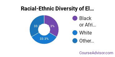 Racial-ethnic diversity of Electronics Maintenance & Repair majors at Ivy Tech Community College