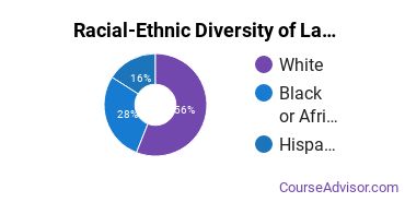 Racial-Ethnic Diversity of La James International College-Iowa City Undergraduate Students