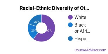 Racial-ethnic diversity of Other Interdisciplinary Studies majors at Ensign College