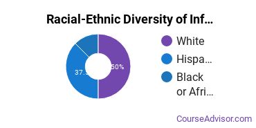 Racial-Ethnic Diversity of Information Technology Majors at Luzerne County Community College