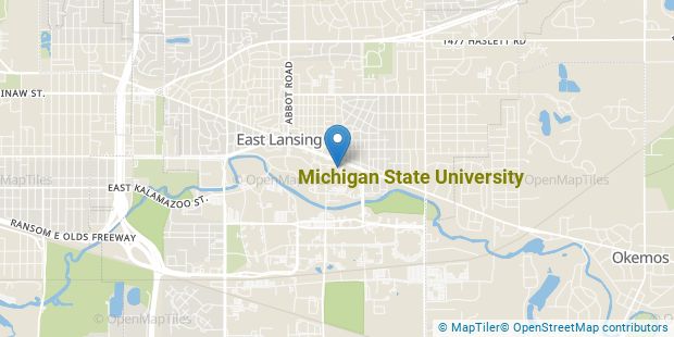 Michigan State University Overview - Course Advisor