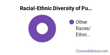Racial-ethnic diversity of Public Administration majors at MidAmerica Nazarene University