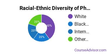 Racial-ethnic diversity of Physics majors at Mississippi College