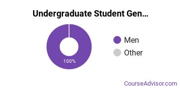 Undergraduate Gender Diversity at Morehouse College