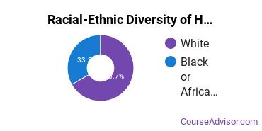 Racial-ethnic diversity of Child Development & Family Studies majors at Nash Community College