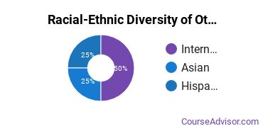 Racial-Ethnic Diversity of Other Computer & Information Sciences Majors at New York University