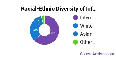 Racial-Ethnic Diversity of Information Technology Majors at Northeastern University Professional Advancement Network