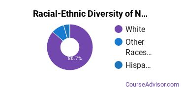 Racial-Ethnic Diversity of Nursing Majors at Northwest Nazarene University