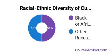 Racial-ethnic diversity of Curriculum & Instruction majors at Ottawa University-Online