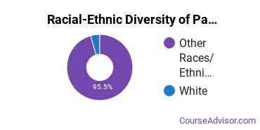 Racial-Ethnic Diversity of Pacific Islands University Undergraduate Students