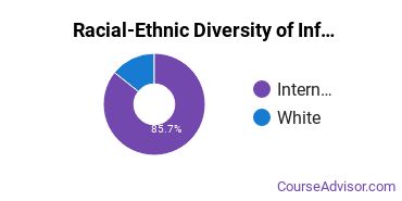 Racial-ethnic diversity of Information Science majors at Pennsylvania State University-Main Campus