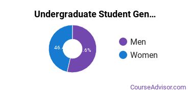 Undergraduate Student Gender Diversity at Penn State University Park