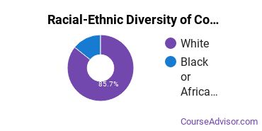Racial-Ethnic Diversity of Communication & Media Studies Majors at Pennsylvania State University - Altoona