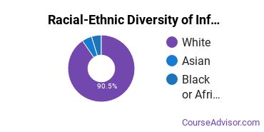 Racial-Ethnic Diversity of Information Technology Majors at Pennsylvania State University - Altoona