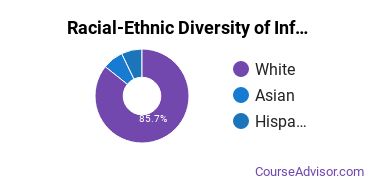 Racial-Ethnic Diversity of Information Technology Majors at Pennsylvania State University - Berks