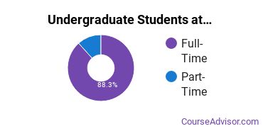 Full-Time vs. Part-Time Undergraduate Students at Penn State Berks