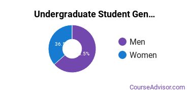 Undergraduate Gender Diversity at Pennsylvania State University-Penn State DuBois