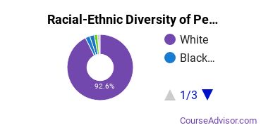 Racial-Ethnic Diversity of Pennsylvania State University-Penn State DuBois Undergraduate Students