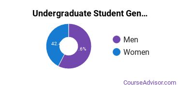 Undergraduate Gender Diversity at Pennsylvania State University-Penn State Greater Allegheny