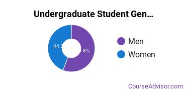 Undergraduate Gender Diversity at Pennsylvania State University-Penn State Lehigh Valley