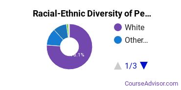 Racial-Ethnic Diversity of Pennsylvania State University-Penn State Shenango Undergraduate Students