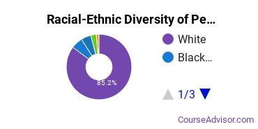 Racial-Ethnic Diversity of Wilkes-Barre Undergraduate Students