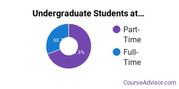 Full-Time vs. Part-Time Undergraduate Students at Penn State World Campus