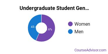 Undergraduate Student Gender Diversity at Penn State World Campus
