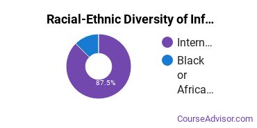 Racial-ethnic diversity of Information Technology majors at University of the Potomac-Washington DC Campus