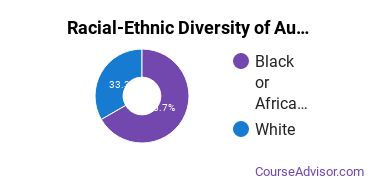 Racial-ethnic diversity of Audiovisual Communications majors at Prairie State College