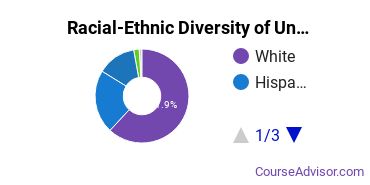 Racial-Ethnic Diversity of Provo College-Idaho Falls Campus Undergraduate Students
