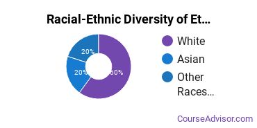 Racial-ethnic diversity of Ethnic Studies majors at Saint Cloud State University