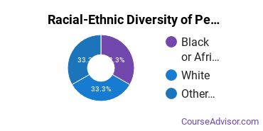 Racial-ethnic diversity of Peace Studies & Conflict Resolution majors at Saint Johns University