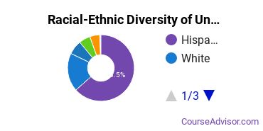 Racial-Ethnic Diversity of San Joaquin Valley College-Bakersfield Undergraduate Students