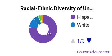 Racial-Ethnic Diversity of San Joaquin Valley College-Rancho Mirage Undergraduate Students