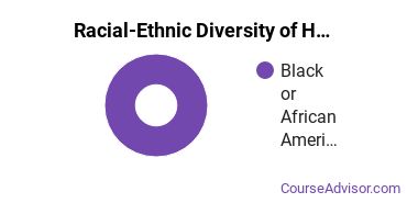 Racial-ethnic diversity of Heavy Equipment Maintenance majors at Savannah Technical College