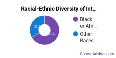 Racial-ethnic diversity of International Business majors at Schiller International University