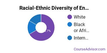 Racial-ethnic diversity of Environmental Control Technology majors at Schoolcraft Community College District