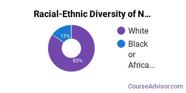 Racial-ethnic diversity of Nursing majors at South College
