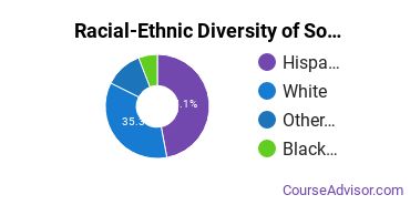 Racial-Ethnic Diversity of Southwest University of Visual Arts - Albuquerque Undergraduate Students