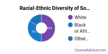 Racial-ethnic diversity of Bodywork & Therapeutic Services majors at Southwestern Community College