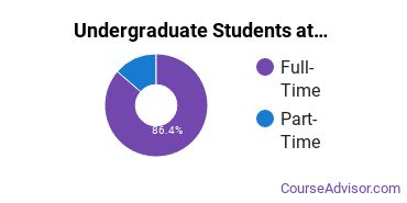 Full-Time vs. Part-Time Undergraduate Students at St. Joseph's College - Long Island