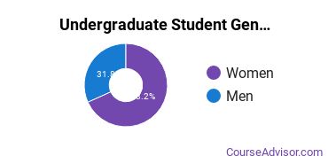 Undergraduate Student Gender Diversity at St. Joseph's College - Long Island