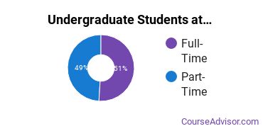 Full-Time vs. Part-Time Undergraduate Students at Stone Academy-East Hartford
