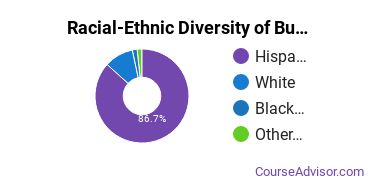 Racial-Ethnic Diversity of Business, Management & Marketing Majors at Sul Ross State University