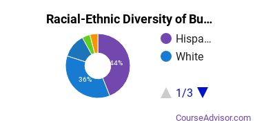 Racial-Ethnic Diversity of Business, Management & Marketing Majors at Sul Ross State University