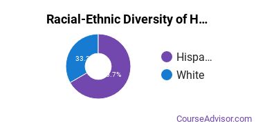 Racial-Ethnic Diversity of Human Sciences Business Services Majors at Texas State University