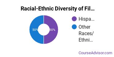 Racial-Ethnic Diversity of Film, Video & Photographic Arts Majors at The Art Institute of Las Vegas