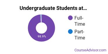 Full-Time vs. Part-Time Undergraduate Students at The Creative Circus